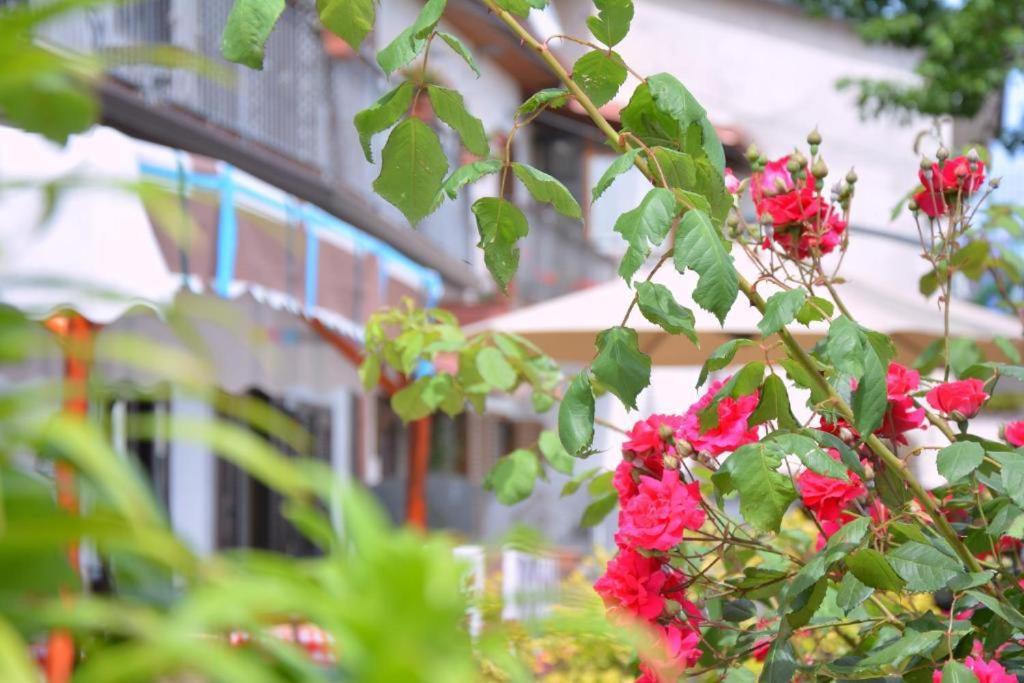 Agriturismo Sul Sentiero Pianillo エクステリア 写真